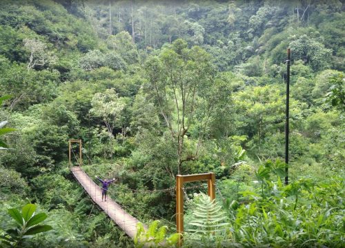 Paket Wisata "Exploring Nature" di Taman Hutan Raya Ir. Juanda (Bandung)