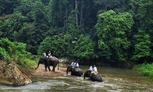 Paket Wisata ke Taman Nasional Bukit Barisan Selatan 1 hari (Lampung)