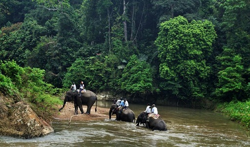 Paket Wisata ke Taman Nasional Bukit Barisan Selatan 1 hari (Lampung)