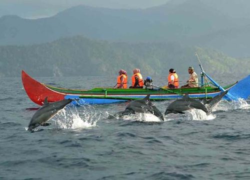 Paket Wisata ke Pantai Kiluan 1 hari (Lampung)