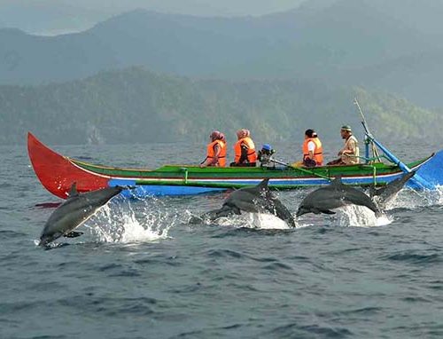 Paket Wisata ke Pantai Kiluan 1 hari (Lampung)
