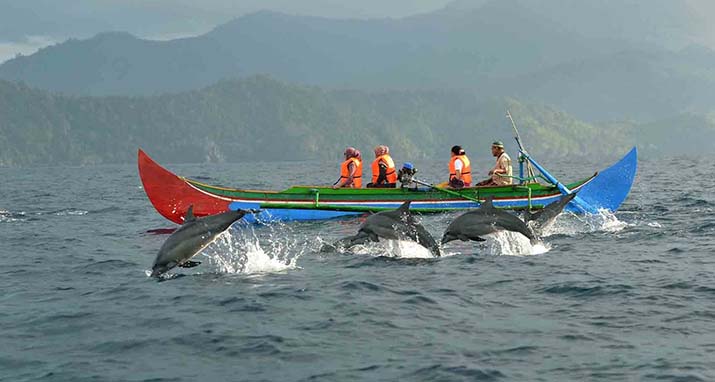 Paket Wisata ke Pantai Kiluan 1 hari (Lampung)