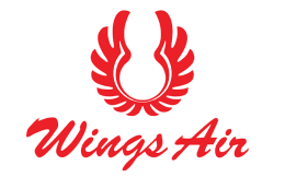 Wings Air Wings Air